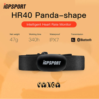 Igpsport HR40 Panda-Shapa เครื่องวัดอัตราการเต้นของหัวใจอัจฉริยะ ชีพจร HR แบบมืออาชีพ รองรับแอพมือถือคอมพิวเตอร์จักรยาน