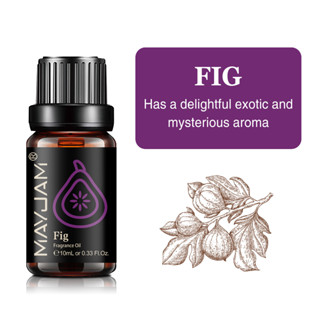 MAYJAM น้ำมันหอมระเหยจากมะเดื่อ 10ML Essential Oil , สารสกัดจากพืชธรรมชาติบริสุทธิ์ Fragrance Oil