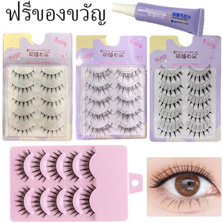 【ฟรีของขวัญ】MengJieShangPin® ขนตาปลอม แบบบาง ดูเป็นธรรมชาติ 5 คู่