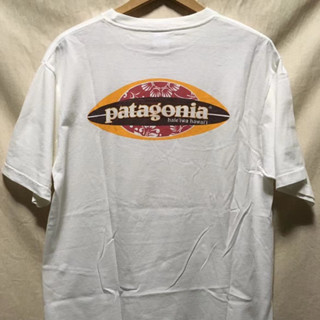 เสื้อยืดแขนสั้นลําลอง ผ้าฝ้ายแท้ พิมพ์ลาย Patagonia สําหรับผู้ชาย