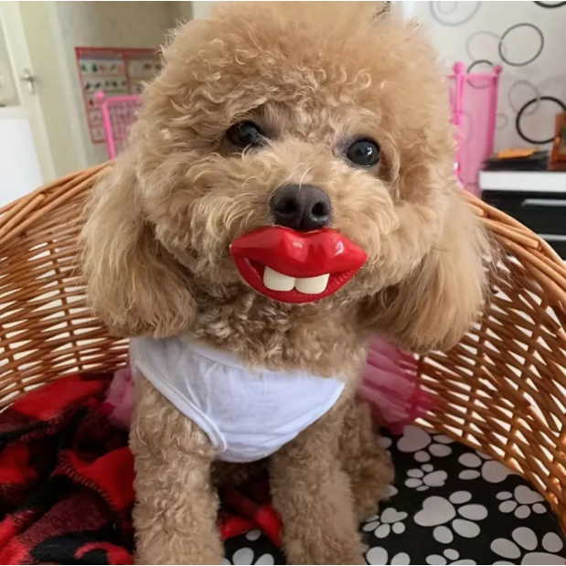 จุกนมปลอม รูปริมฝีปาก สีแดง ของเล่นสําหรับสัตว์เลี้ยง สุนัข จํานวน 1 ชิ้น