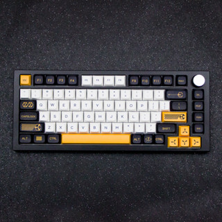 [keycaps] ปุ่มกดย้อมสี XDA profile 131 คีย์ PBT