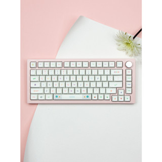 [keycaps] ปุ่มกดคีย์บอร์ด สีนีออน XDA profile 131 คีย์ PBT