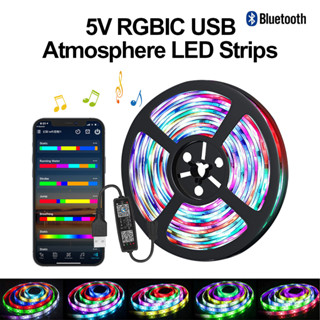 สายไฟ Led 5050 RGBIC WS2812B บลูทูธ ยืดหยุ่น อินฟราเรด ลูซ ส่องสว่าง USB DC5V สําหรับตกแต่งทีวี เดสก์ท็อป