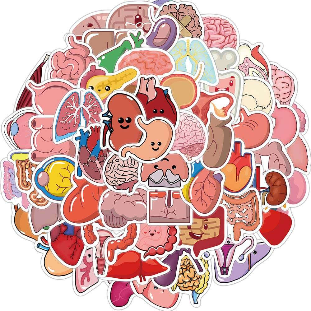 [สติกเกอร์ขนาดใหญ่] สติกเกอร์ออร์แกน ลายการ์ตูนกราฟฟิตี้ แผนที่กายวิภาคศาสตร์ น่ารัก กันน้ํา สําหรับตกแต่งขวดน้ํา แล็ปท็อป กระเป๋าเดินทาง กีตาร์ โทรศัพท์ ของเล่นเด็ก DIY 65 ชิ้น
