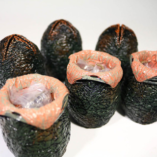 Neca ชุดอุปกรณ์เสริมไข่เอเลี่ยน 6 แพ็ก พร้อมกอดหน้าเอเลี่ยน …