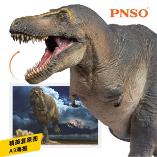 P PNSO โมเดลฟิกเกอร์ไดโนเสาร์ King Tyrannosaurus Chuanzi ของเล่น ของสะสม สําหรับเด็ก