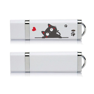 แฟลชไดรฟ์ USB 2.0 ลายกราฟฟิคแมว 16GB