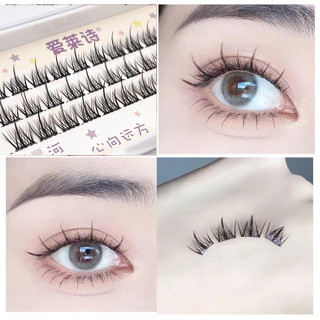 【พร้อมส่ง】ขนตาปลอม แบบหนามธรรมชาติ ขนาดใหญ่