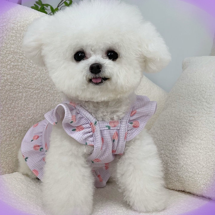 Oyes เสื ้ อผ ้ าสัตว ์ เลี ้ ยงแฟชั ่ น Fly Sleeve ชุดฤดูร ้ อนสําหรับสุนัขตัวเล ็ ก