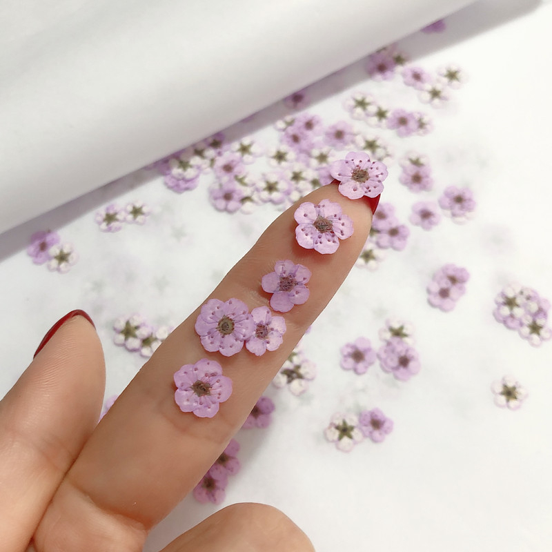 ดอกไม้แห้ง แบบนูน ขนาดเล็ก สําหรับตกแต่งเล็บ Diy 100 ชิ้น