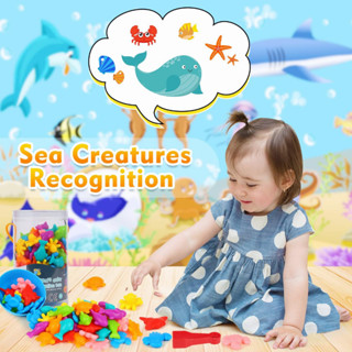 Rainbow Sorting Bear ของเล่นเสริมพัฒนาการ มอนเตสซอรี่ Montessori ฝึกสมอง คีบ แยกสี ของเล่นพัฒนาการ
