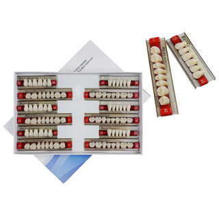 โมเดลฟันปลอมเรซิ่น 3 ชุด/กล่อง สําหรับทันตกรรม