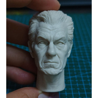 โมเดลฟิกเกอร์ Magneto Ian McKellen Head Sculpt ขนาด 6 นิ้ว ของเล่นสําหรับเด็กผู้ชาย 1:12