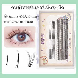 【พร้อมส่ง】ขนตาปลอม แบบหนาม หางปลา สไตล์แฟรี่