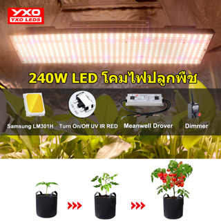 ซัมซุง LM301h LED เติบโต Phytolamp เต็มสเปกตรัม LED เติบโตไฟ 240W เติบโตแสงสําหรับต้นกล้าดอกไม้ผักในร่ม