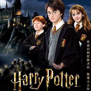 สมุดเก็บสะสมการ์ด หนัง PU ลาย Harry Potter Magic Dawn Edition