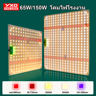 220V เต็มสเปกตรัม LED เติบโตแสง 650W 1500W โรงงาน แสงปลุก, พืชแสงการเจริญเติบโตแสงสีขาวแสงธรรมชาติ