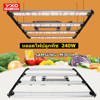 2400W Samsung LM301H ไฟส่องแสงจากพืชภายในบ้าน LED ช่วยให้พืชเติบโตอย่างรวดเร็วและมีประกันพลังงาน Meanwell นานถึง 5 ปี