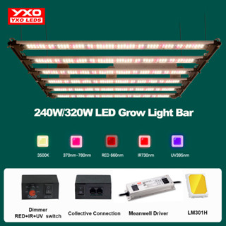 3200W ซัมซุง LM301H LED เติบโตแถบแสง Meanwell ไดรเวอร์ในร่มพืชเรือนกระจกแสงแดดเติบโตแสง