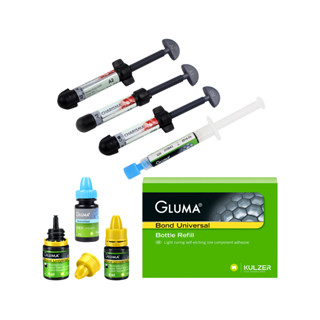 Gluma CHARISMA ชุดกาวคอมโพสิต ไดมอนด์