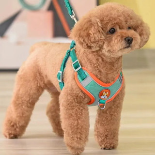 สายจูงสุนัข แมว สะท้อนแสง สายรัดหน้าอก สายจูงสุนัขเดิน เท็ดดี้ Bichon ขนาดเล็ก สไตล์เสื้อกั๊ก