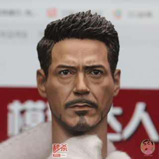 Miao 1/6 Tony Stark Head Sculpt