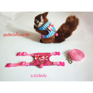 [Fluffy Pet] สินค้าเฉพาะจุด เสื้อผ้าสัตว์เลี้ยง ขนาดเล็ก ลายการ์ตูนโตโตโร่ มิงค์เพื่อนรัก สายรัดหน้าอก หนูตะเภา เชือกลากจูง เพื่อนบ้านของฉัน โตโตโร่ อุปกรณ์ลากพิเศษ