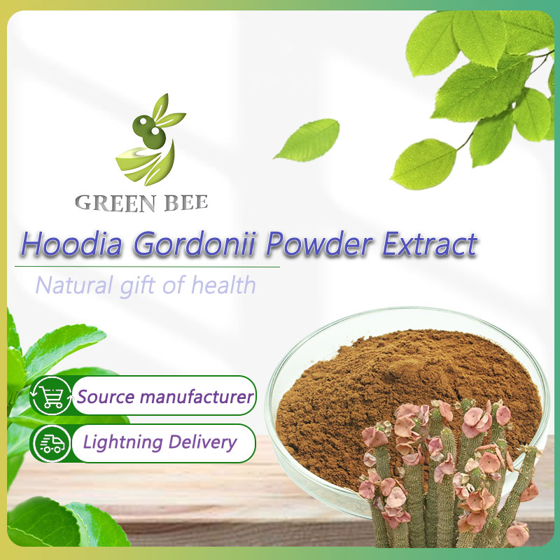 สารสกัดผง Hoodia Gordonii / Serbuk Ekstrak Hoodia/100/200/500g/Kosher- ได้รับการรับรอง HALAL