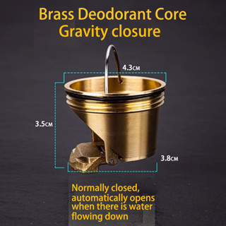 แกนระงับกลิ่นกายท่อระบายน้ําชั้นทองเหลืองความเร็วระบายน้ําอย…