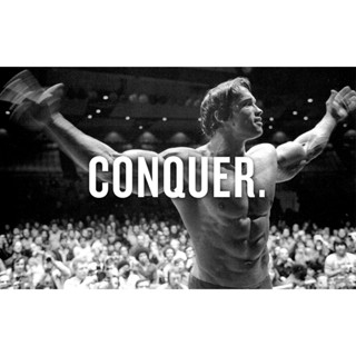 Arnold Schwarzenegger Conquer โปสเตอร์ภาพวาดผ้าใบ สไตล์เรโทร สําหรับตกแต่งผนัง