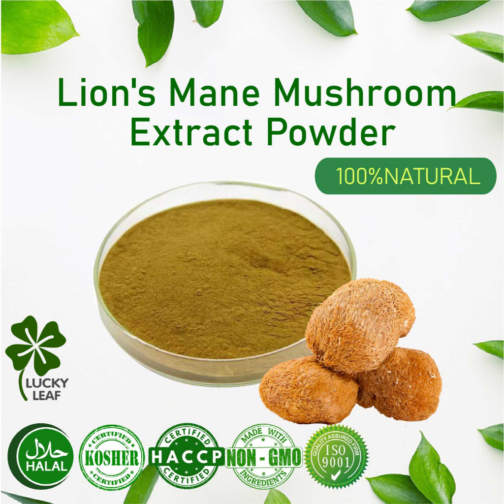 ผงสารสกัดจากเห็ดหัวลิง Lions Mane Mushroom/Stomach Protect-HALAL & KOSHER Certified