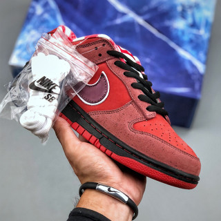 รองเท้ากีฬา รองเท้าสเก็ตบอร์ด รุ่น Concepts x SB Dunk Low Red lobster Recreational  313170 661