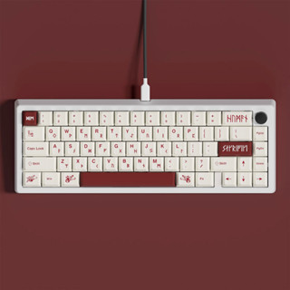 【 In stock】GMK Blot keycap Dye-sub Cherry profile PBT keycaps 61/64/68/84/87/96/980/104/108