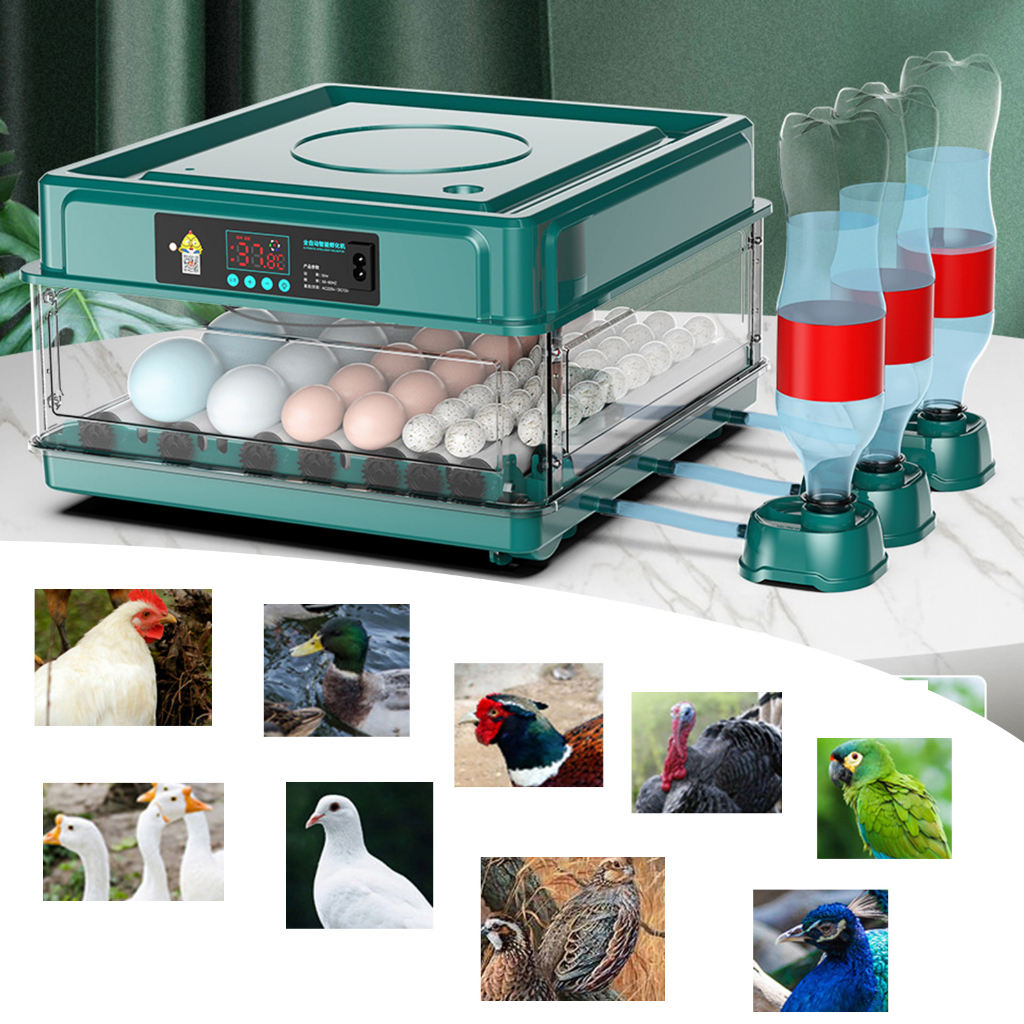 [SIMHOA ] จอแสดงผล LED ไข ่ อัตโนมัติ Chick สําหรับไก ่ Pigeon Quail