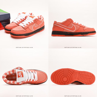 Concepts x Dunk SB Low "Orange Lobster" "Orange Lobster" "Orange Lobster"" "Orange Lobster""" - 8776-800