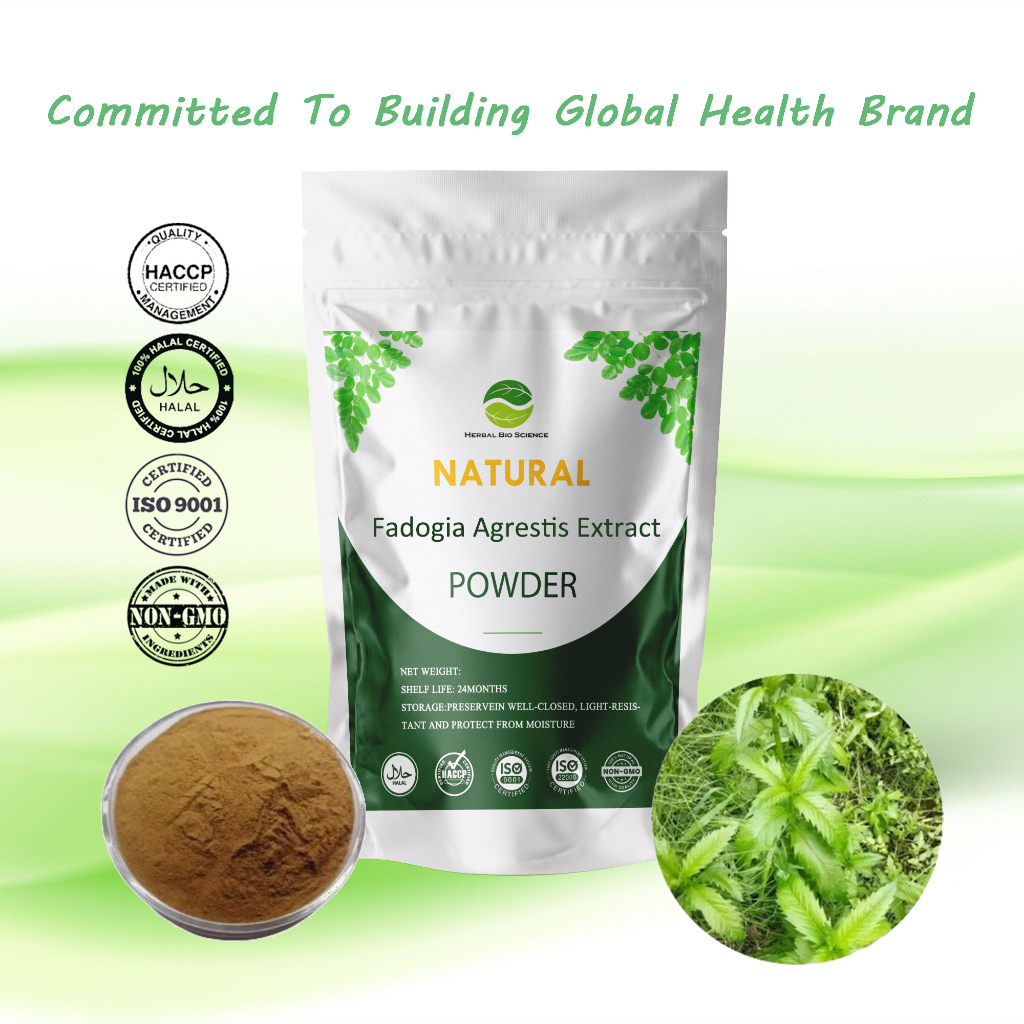 【Natural】Fadogia Agrestis Extract /Improve energy levels -Kosher &HALAL ได้รับการรับรองแล้ว