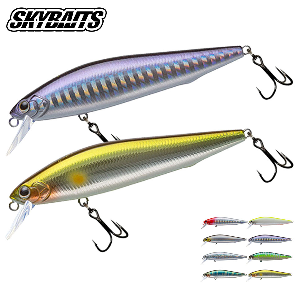 SKYBAITS 1 ชิ้น Long Cast Sinking Minnow Lure 5g/7g/10g/14g 3D Eyes Gravity Balance System Hard เหยื