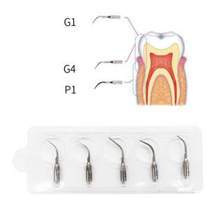 เครื่องชั่งน้ําหนักอัลตราโซนิก G1 G2 G3 G4 P1 5 ชิ้นต่อแพ็ค Scaling Tips