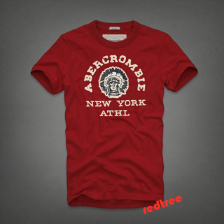 เสื้อยืดแขนสั้น ปักลาย Abercrombie &amp; Fitch สําหรับผู้ชาย