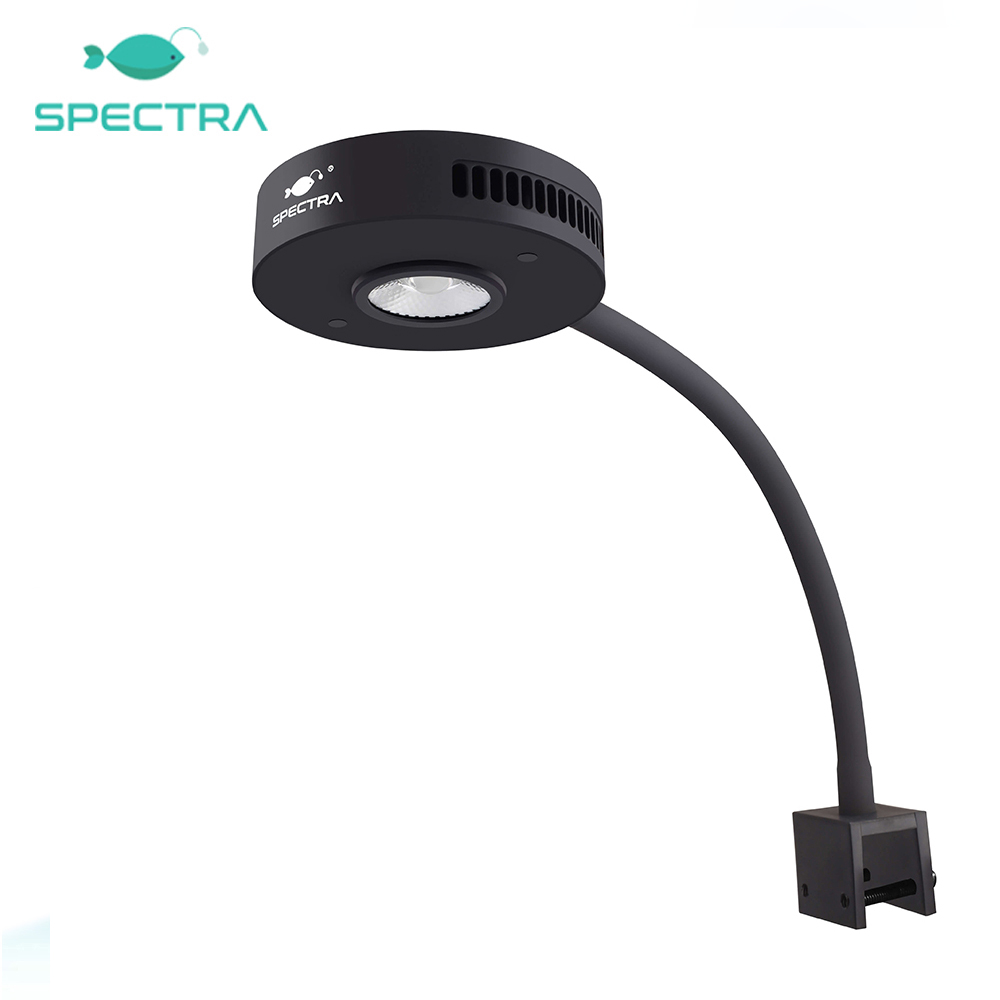 Spectra Aqua Knight V2 36W ตัวจับเวลาในตัว Marine Aquarium ไฟ LED สําหรับถังนาโนปะการัง Reef