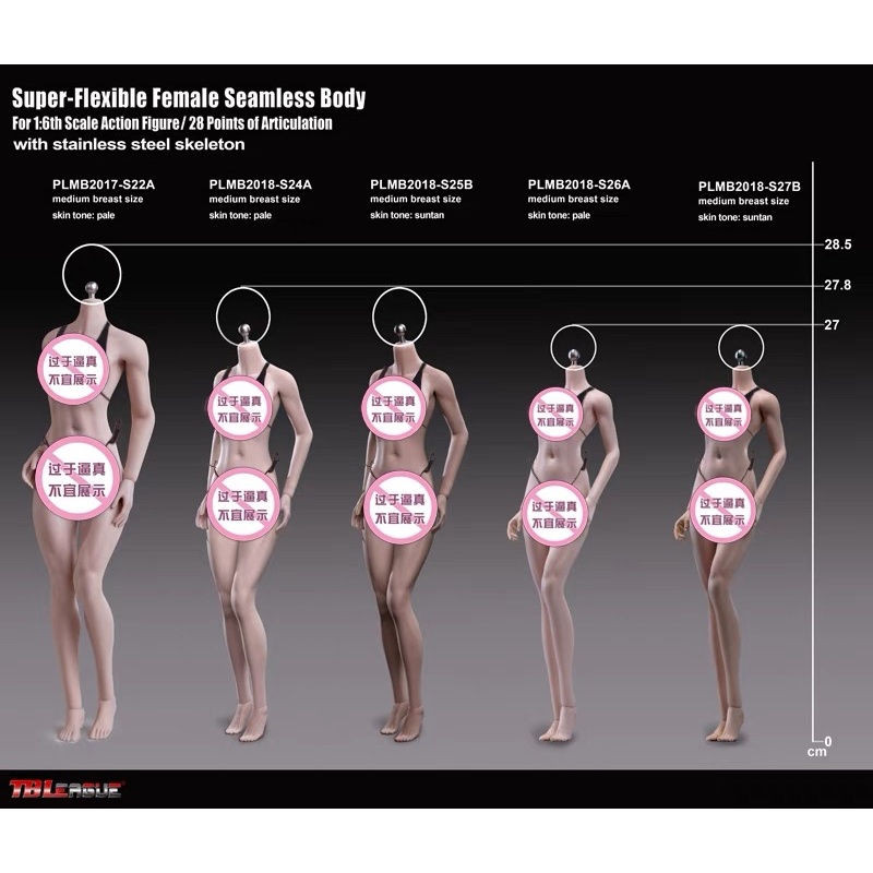TBLeague 1/6 ภาพวาด Rubberized หญิง S01A S04B S07C S16A S20A S21B S27B S28A S29B S32A S33B