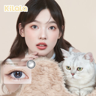 [ซื้อ 2 ชิ้น เพียง ฿99]Kilala คอนแทคเลนส์รายวัน Orange Brown /Felinae Grey สีน้ำตาล/เทา 14.2MM. 14.5 MM. 2 ชิ้น 1 คู่