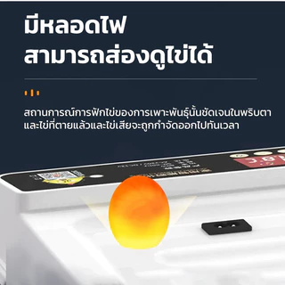 DEKEE ตู้ฟักไข่อัตโนมัติ 15-256 ฟอง เครื่องฟักไข่ ตู้ฝักไข่ไก่ เครื่องฟักไข่อัตโนมัติ ตู้ราคาถูก ควบคุมอุณหภูม