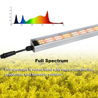 60W Full Spectrum Hydroponic LED Grow Light SamsungLM301H EVO ไฟปลูกต้นไม้ 3000K 5000K UV IR ไฟปลูกกัญ bar ไฟปลูกดอกไม้  สำหรับพืชเรือนกระจก โคมไฟ