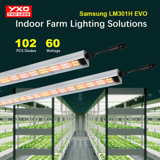 60W ไฟปลูกกัญ Led grow light SamsungLM301H EVO  ไฟปลูกผัก waterproof 3000K 5000K  ไฟปลูกผักไฮโดรโปนิกส์ ไฟช่วยต้นไม้ตัวเร็ว