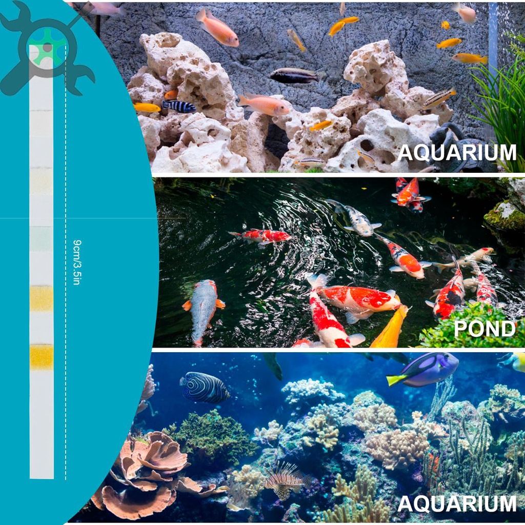 5/6/7 in 1 100 ชิ้น ชุดแถบทดสอบค่า pH น้ําเค็ม น้ําจืด สําหรับตู้ปลา ชุดตรวจคุณภาพน้ำ ที่ตรวจค่า pH ในน้ำ แผ่นทดสอบคุณภาพน้ำ กระดาษวัดค่าน้ำ บ่อปลา สระ