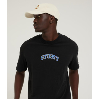 Stussy เสื้อยืดแขนสั้น ผ้าฝ้าย ทรงหลวม พิมพ์ลายโลโก้ ขนาดเล็ก แฟชั่นสําหรับผู้ชาย และผู้หญิง