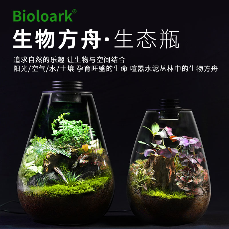 Bioloark Bioloark ขวดนิเวศวิทยาถังสีขาวบริสุทธิ์ขวดแก้วมอสไมโครภูมิทัศน์ด้วยแสงบ้านภูมิทัศน์ไมโคร