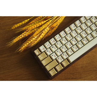 Mai Lang ปุ่มกดคีย์บอร์ด 140 คีย์ PBT DYE-SUB GMK สําหรับคีย์บอร์ด Mechanical